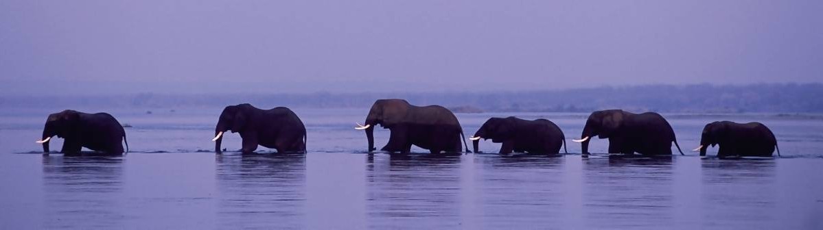 Lower Zambezi National Park